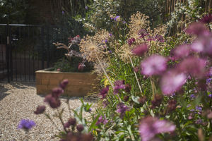 Garden- click for photo gallery